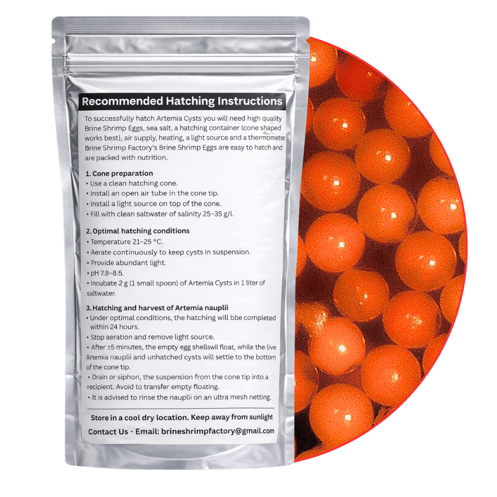 Brine Shrimp Eggs - Tibet Red