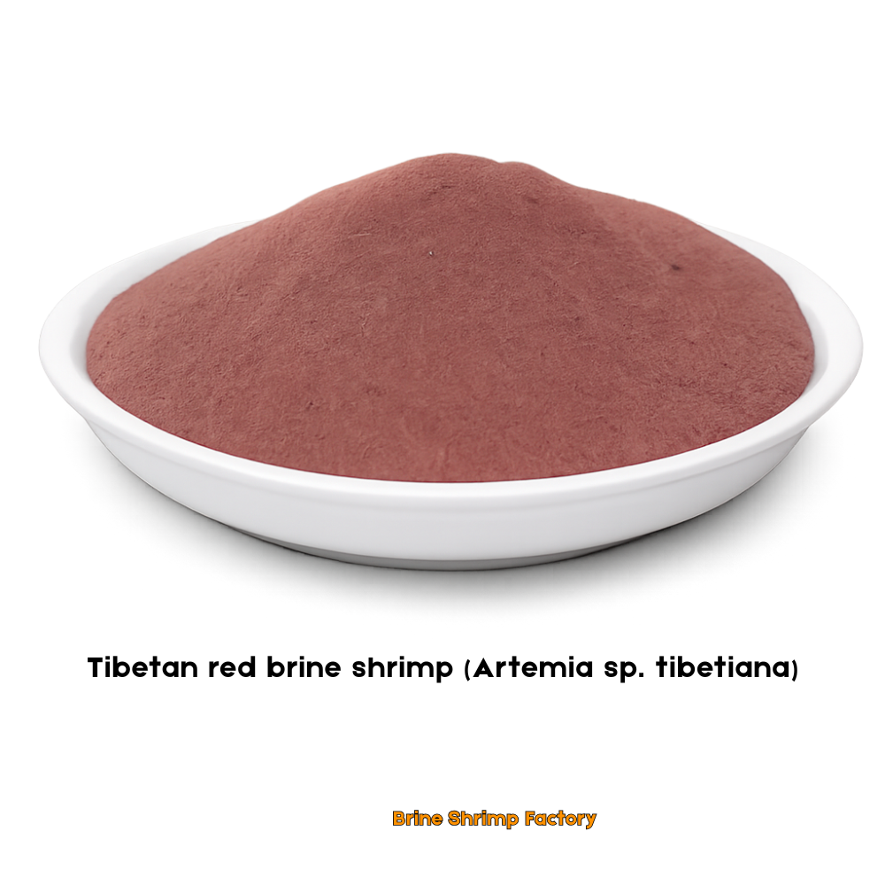 Brine Shrimp Eggs - Tibet Red